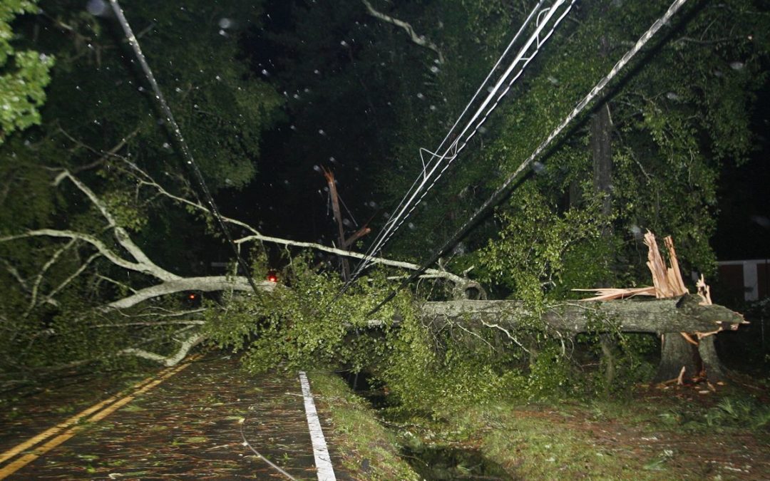 Goodbye and good riddance, Hermine!