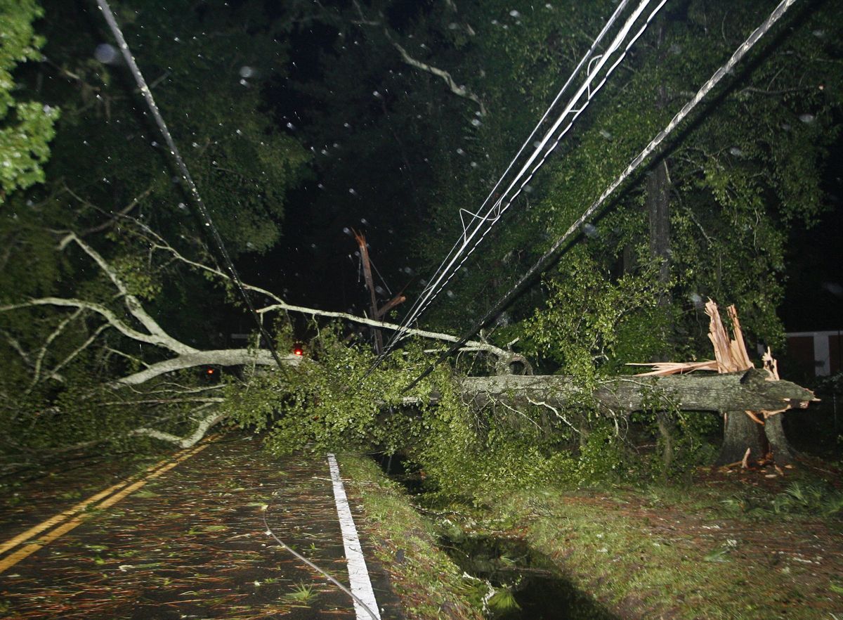 Downed trees Tallahassee.