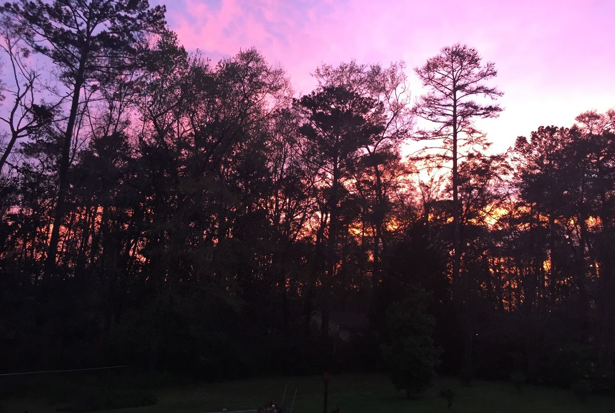 Sunset over Tallahassee, pink sky Living in Paradise...