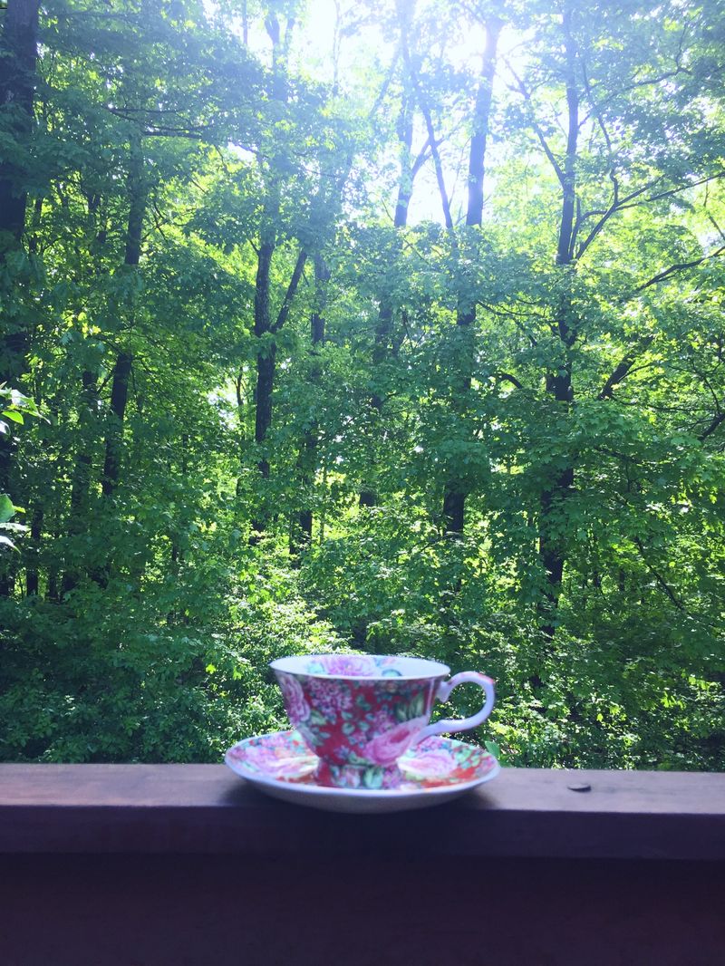 Tea cup overlooking a forest.