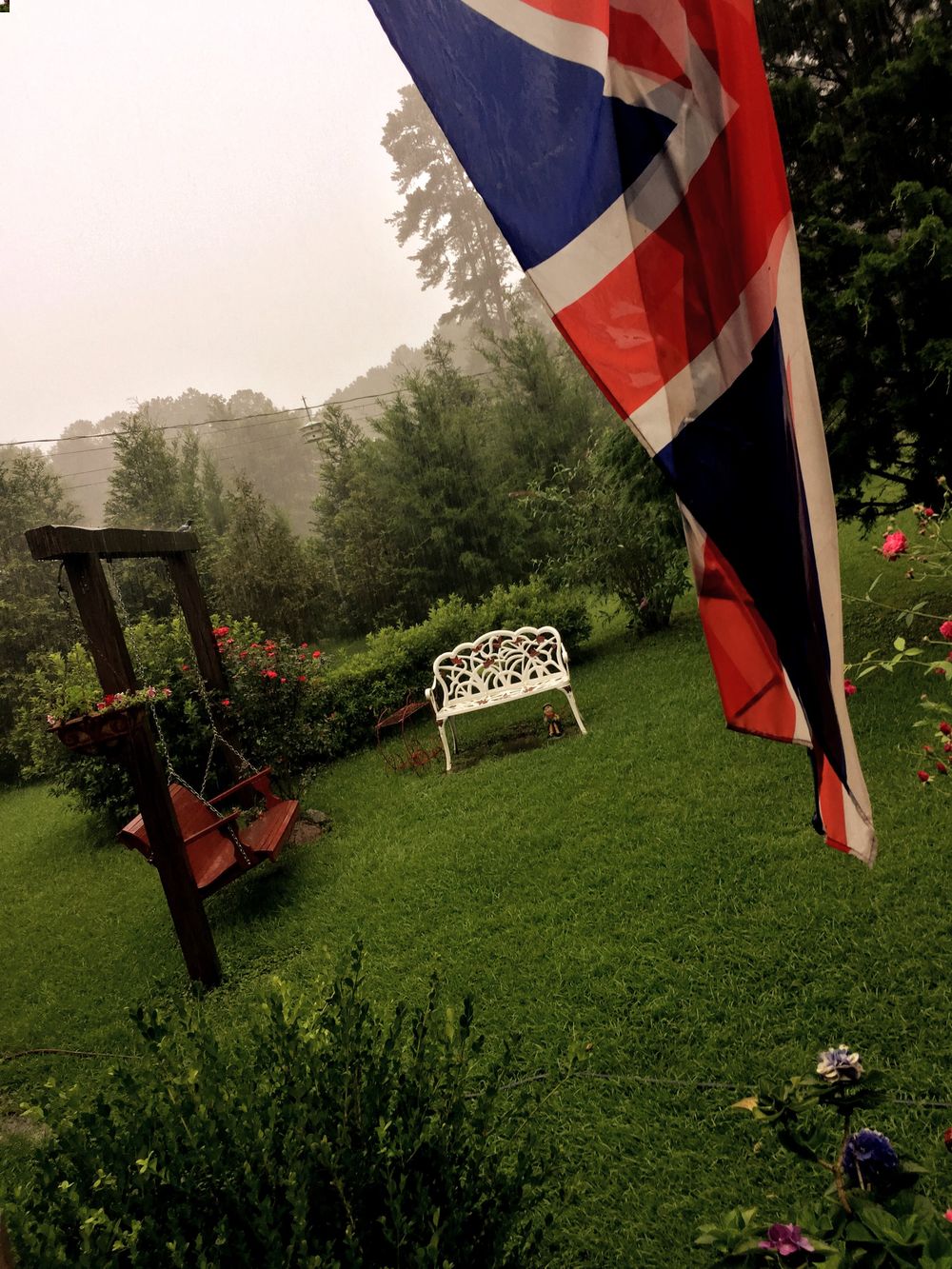 Garden with a swing and bench