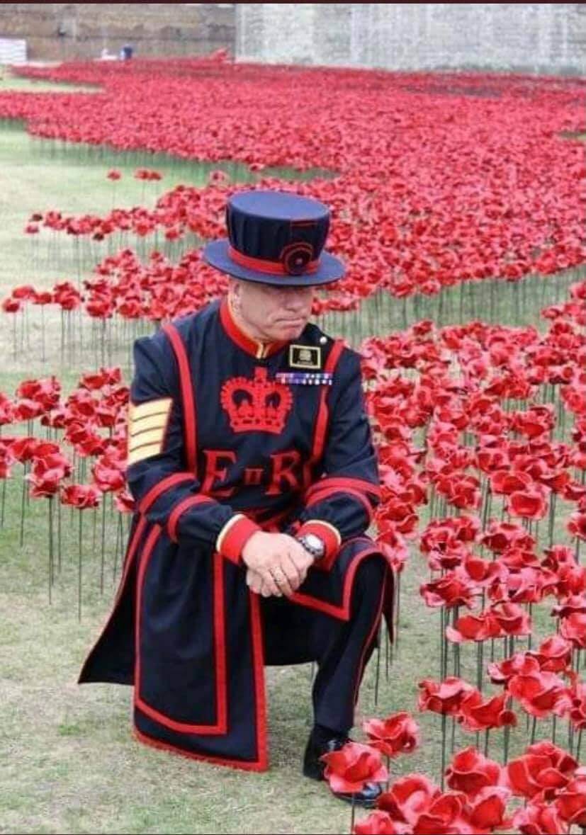 London Beefeater kneeling in a field of poppies