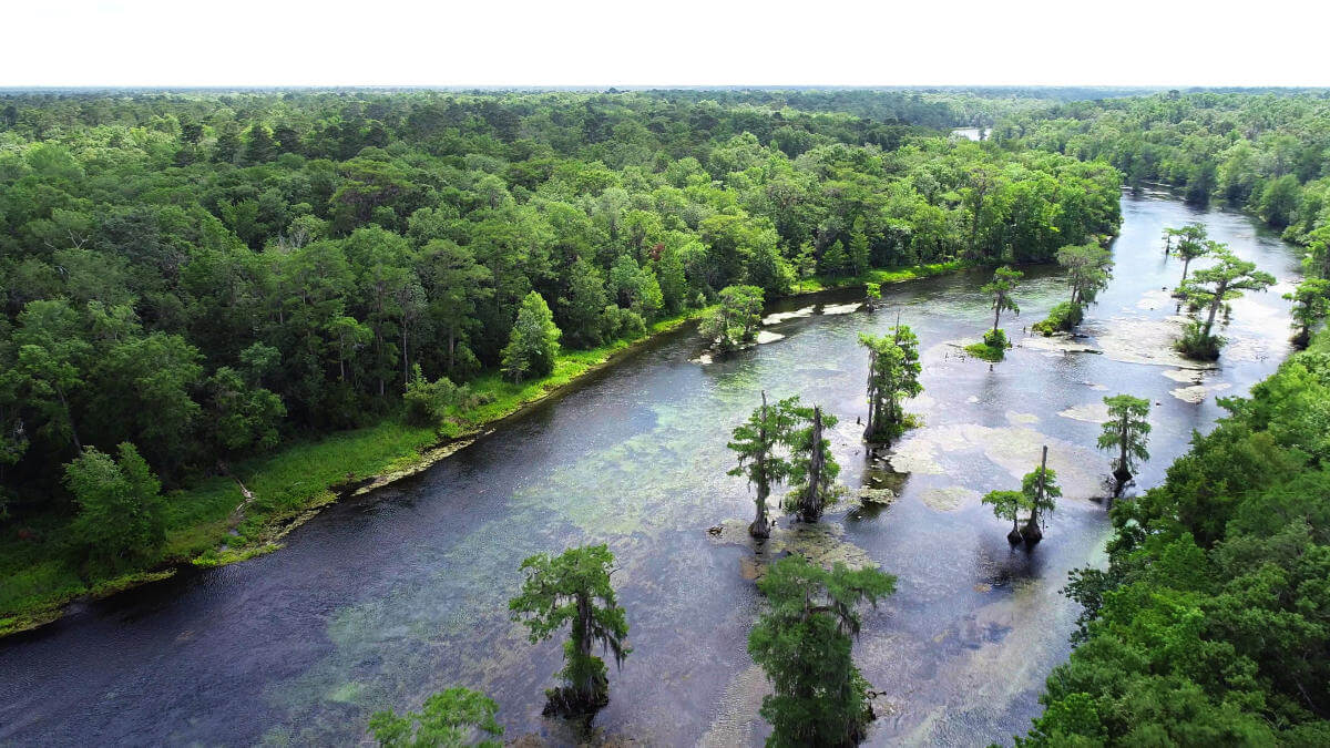 Wakulla Springs, Florida from above