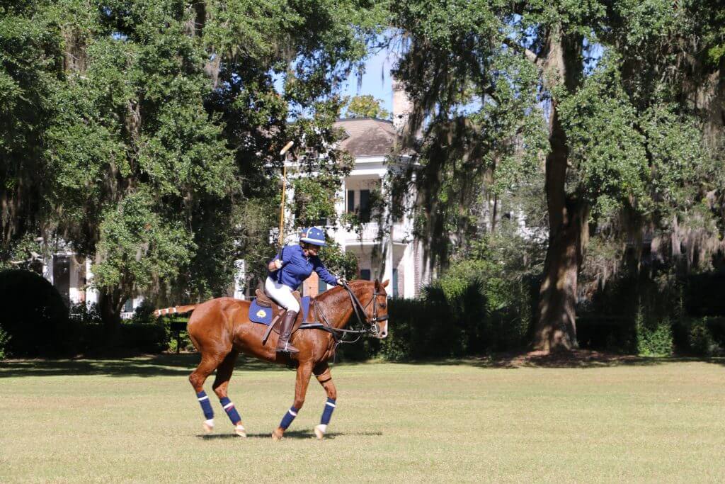 Person riding a horse with a plantation in the background